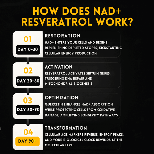 NAD+ Resveratrol | AccuaBoost